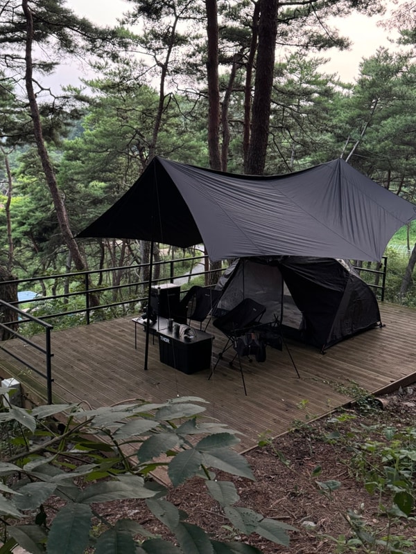 애견동반 가능 캠핑장! 영월 한반도 솔숲 쉼터 여름 캠핑 후기