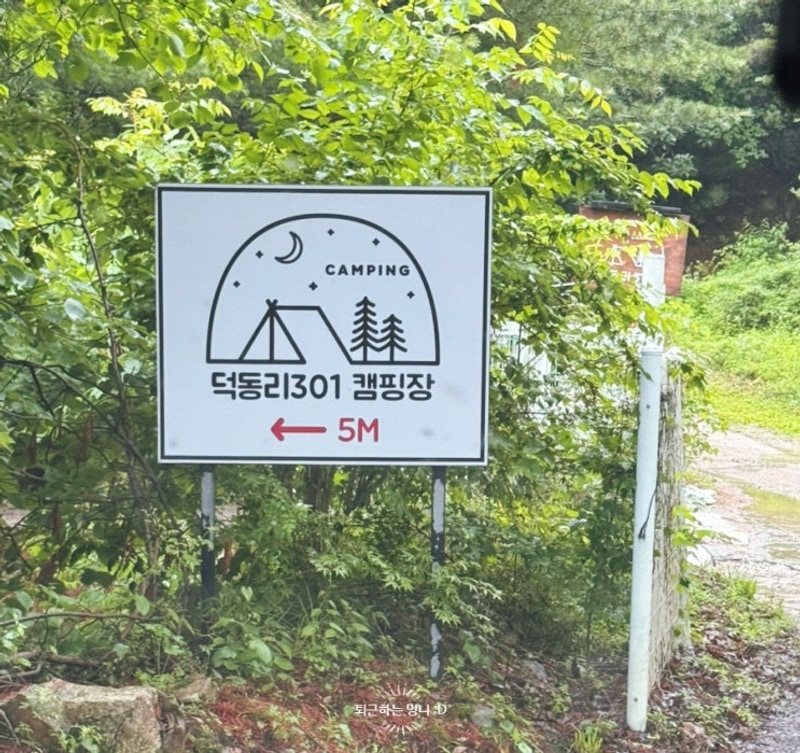 제천 캠핑장, 여름계곡캠핑추천 덕동리301 캠핑장