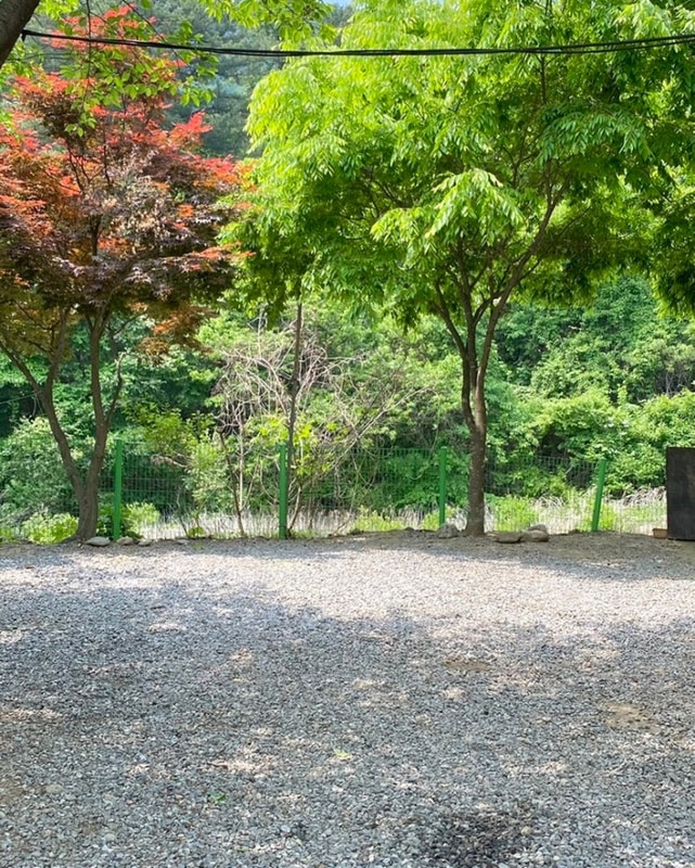 가평 맑은물소리캠핑장 물소리 들으며 힐링하기