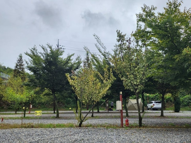 우중캠핑이 된 가을캠핑 매향오토캠핑장