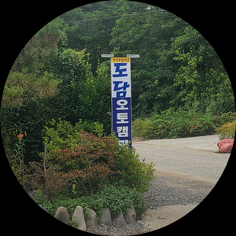 맛조개 체험 태안 도담 오토 캠핑장