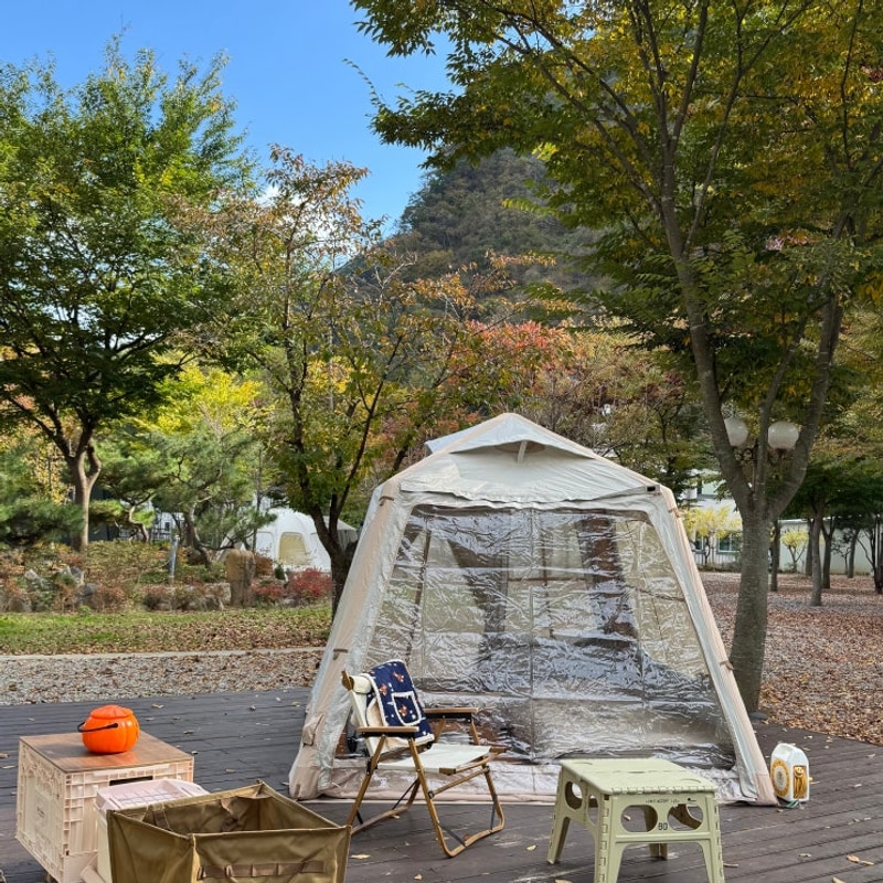 49.정선 가네골농원 캠핑&펜션