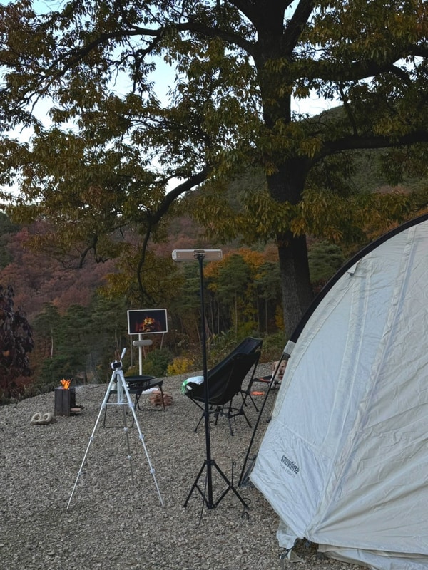 옥천,마로니에숲 캠핑장