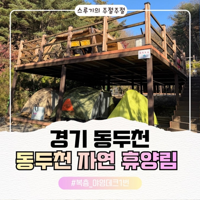 동두천 자연 휴양림 복층 야영장데크 1번 내돈내산