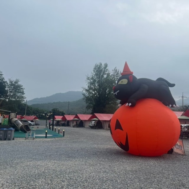 스테이 107 대표 사진