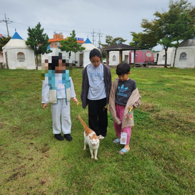 강화카라반캠핑장 대표 사진