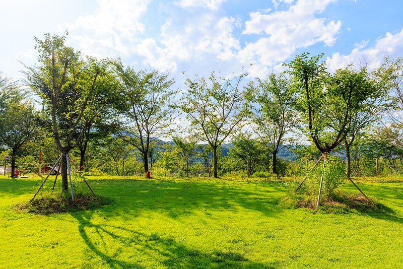 왕산골 관광농원 시설 사진 10
