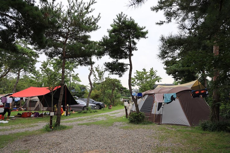 용천수캠핑장 시설 사진 22