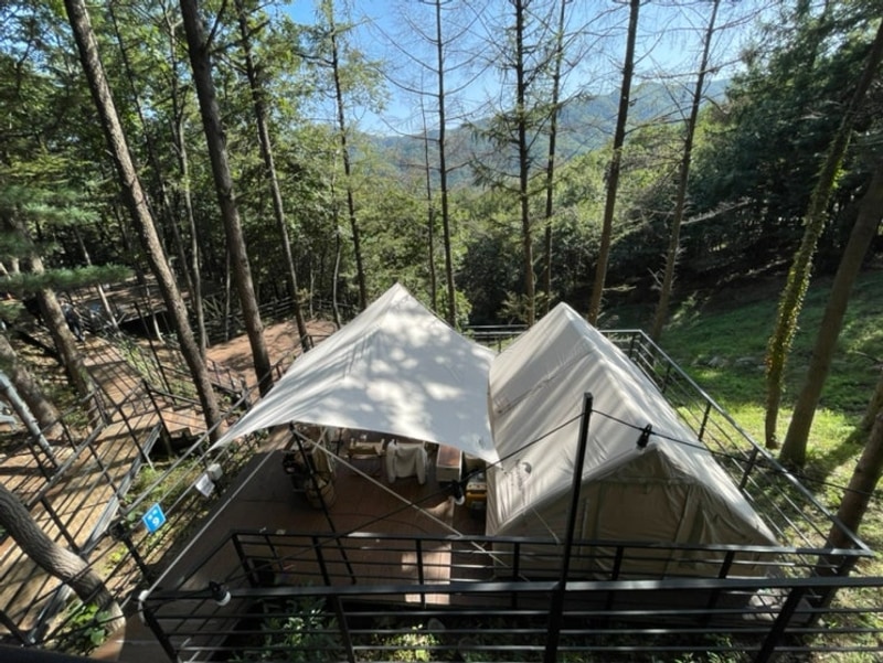 [가평캠핑장] 블루문캠핑장 숲속8번 후기