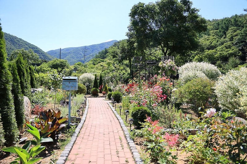 일칠일관광농원 시설 사진 17