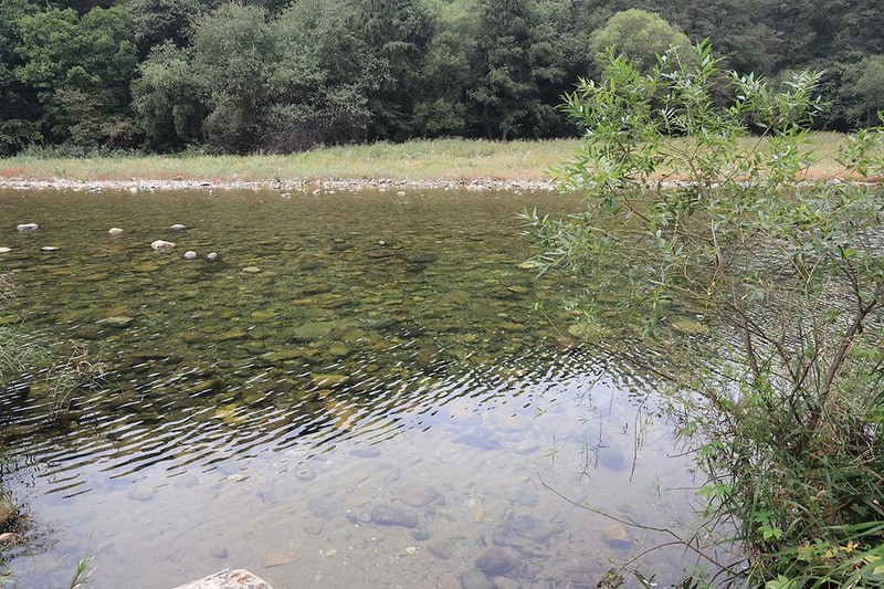 메타피아 오래캠핑장 & 카라반 시설 사진 16