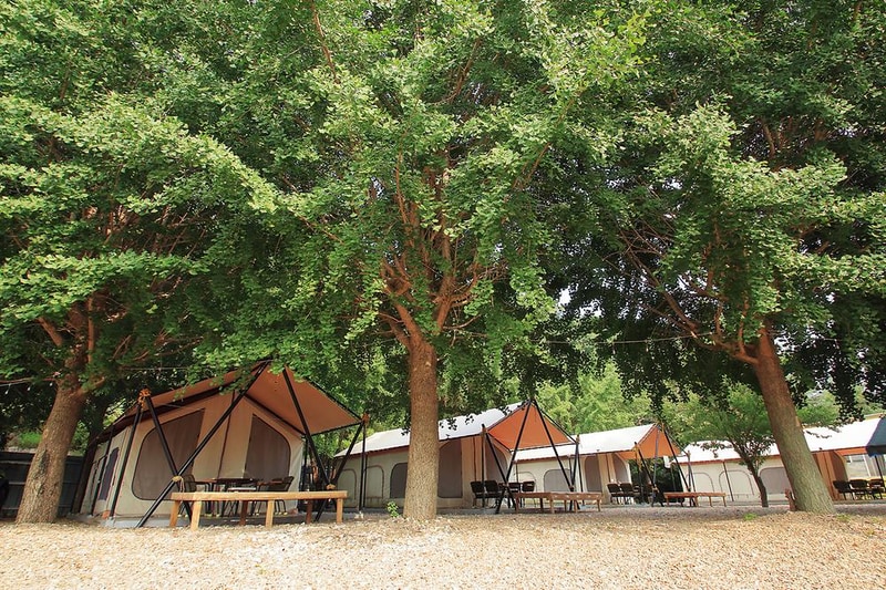 늘푸른 체험학교 시설 사진 13