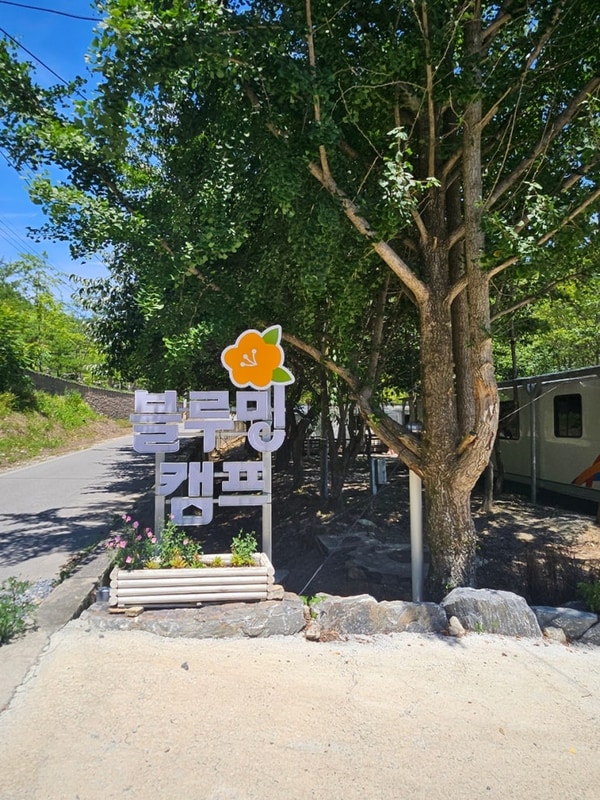 블루밍캠프 강원도 영월 무릉도원 계곡캠핑장