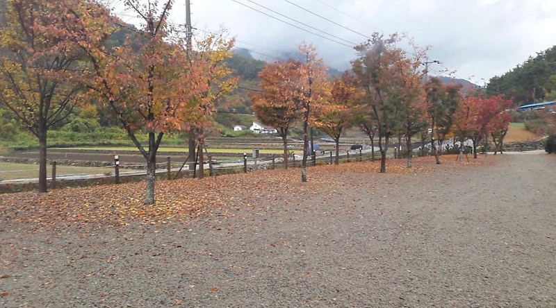 고성 장좌리 캠핑장 시설 사진 4