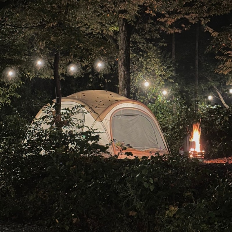 [비발디캠핑파크 노일점] 홍천 애견동반 캠핑장 너나울 5번...