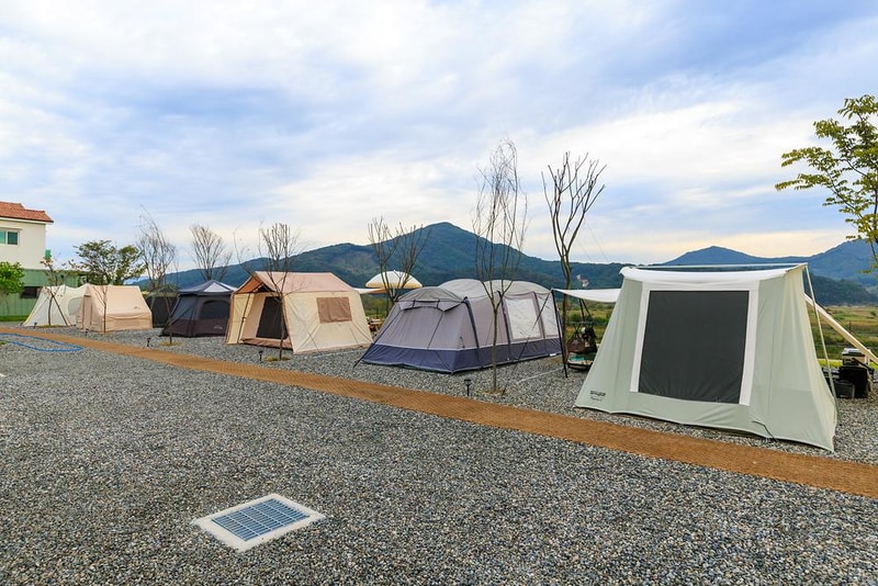 캠프202 시설 사진 10