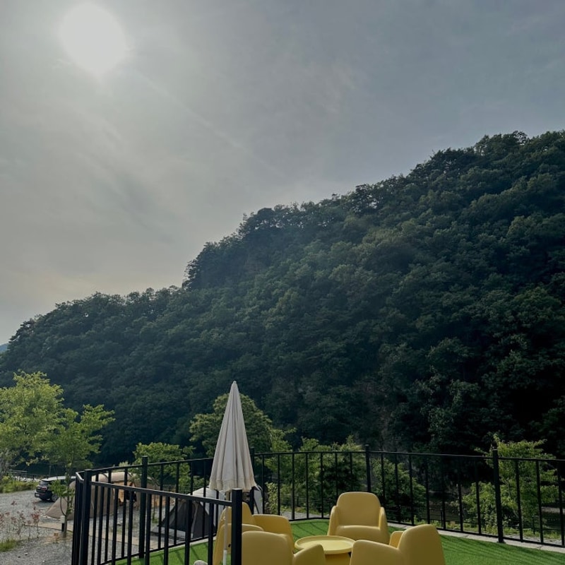 [캠핑] 양평 숲이야 캠핑장 - 숲이야캠핑장, 서울 근교 신생...