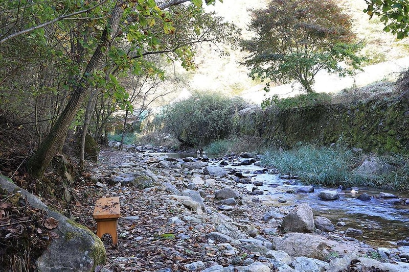 마의태자캠핑장 시설 사진 15