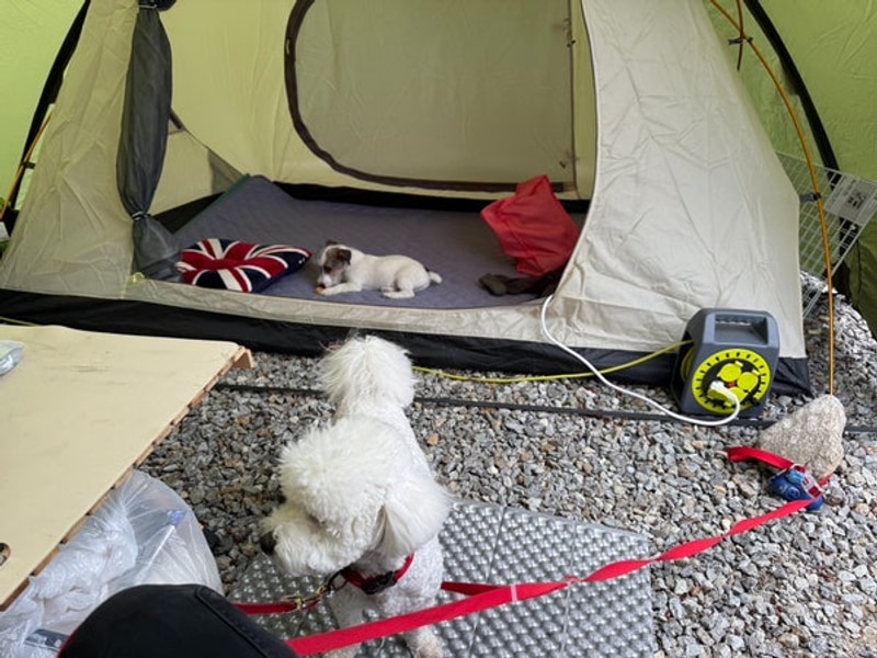 가평 물소리캠핑장. 사이트 넓은 계곡 캠핑장. 반려견 동반가능.