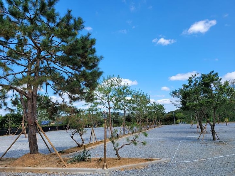 파주 눌노리 체험 캠핑장 대표 사진