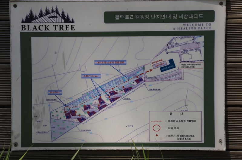 Black tree 배치도 1