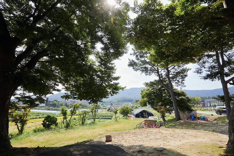 아로니움글램핑 시설 사진 13