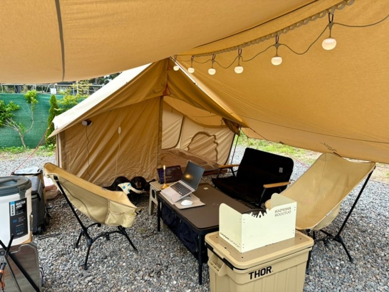 태안 애견동반 갯벌체험 가능한 바닷가 체로키캠핑장 4번...