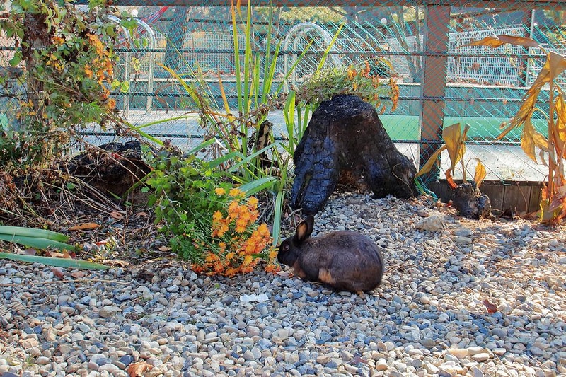 산음캠핑(글램핑) 시설 사진 2