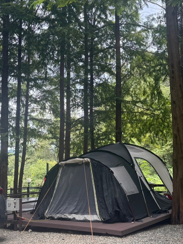 [양평] 네번째 캠핑 25.09.13-16 먹기만 했던 스테이네이처...