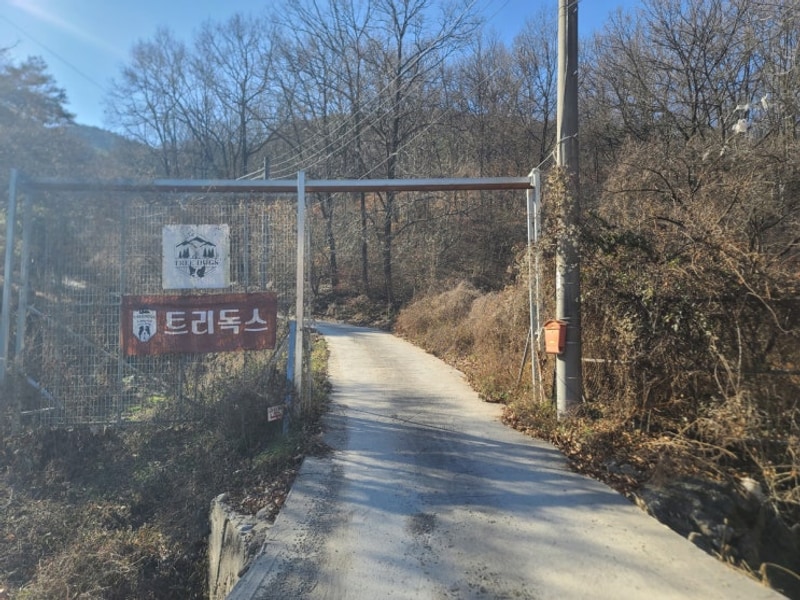 고령 트리독스 애견전용 캠핑장 (대형견 가능) 오프리쉬 캠핑장