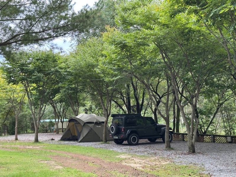 이렇게 좋은 캠핑장에서 전세캠핑이라니 - 영월 아빠가만든캠핑장