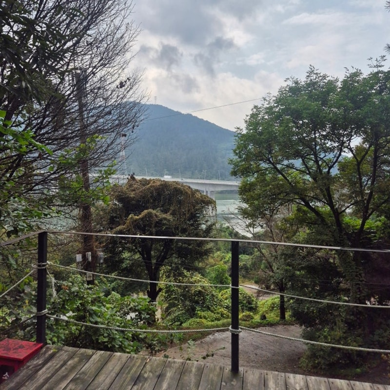 양평 캠핑장| 서울근교 약수동산 캠핑장 좌청룡5호 애견동반 추천