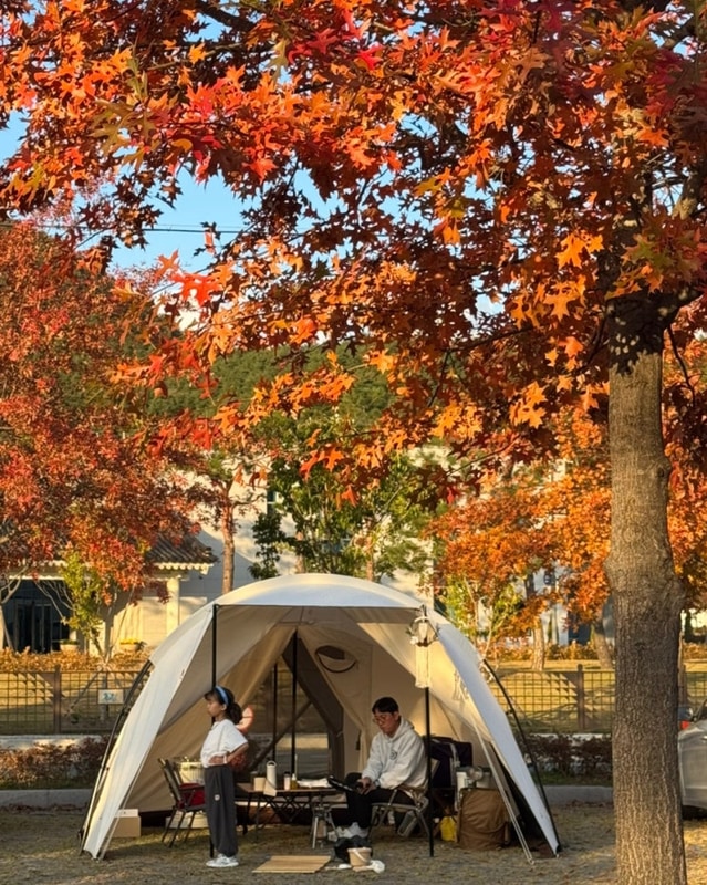 청도 신화랑 풍류마을 오토캠핑장 2번사이트 후기