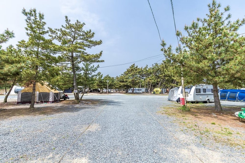 몽산포오션캠핑장 시설 사진 7