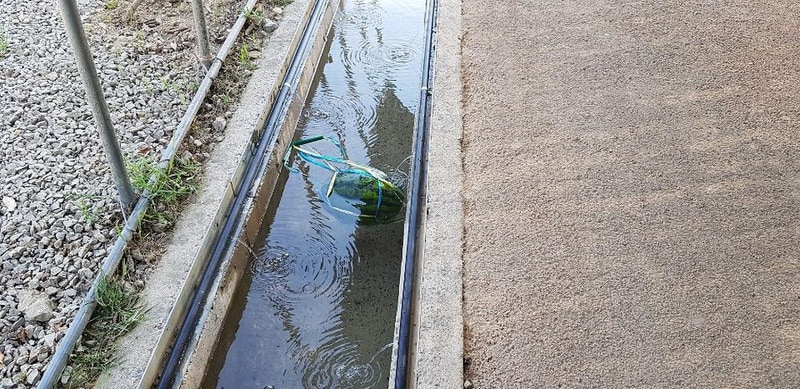 청광새들녘캠핑 시설 사진 6