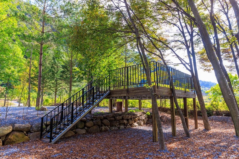 포레스트힐링캠프 시설 사진 21