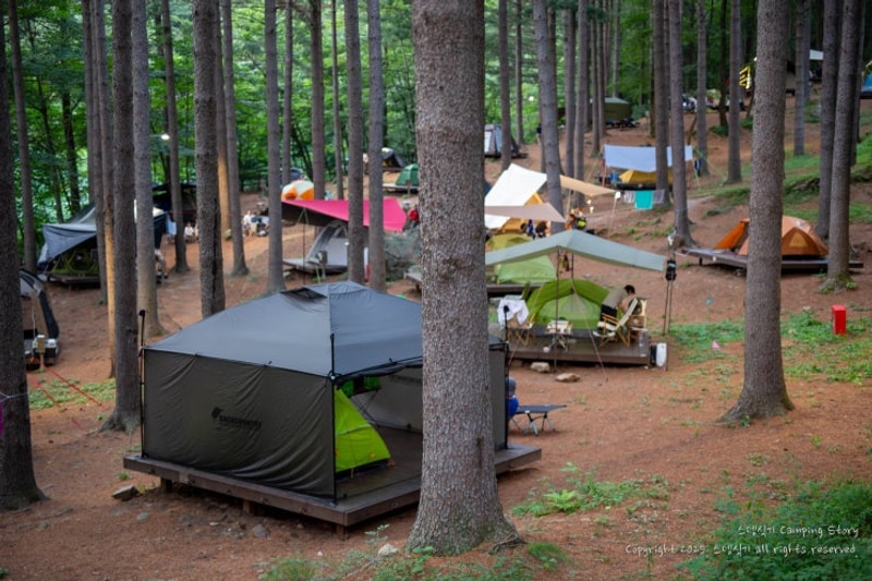 무주 - 덕유산자연휴양림 캠핑 (2025/8/22~24) [346]