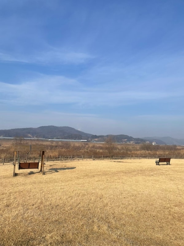 청주시 현도 오토캠핑장 애견 동반 가능