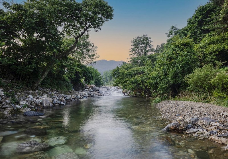 양평힐링계곡 오토캠핑장 시설 사진 5