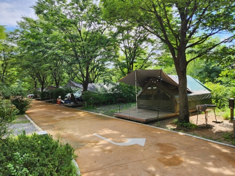 도심 속 중랑 숲 중랑가족캠핑장