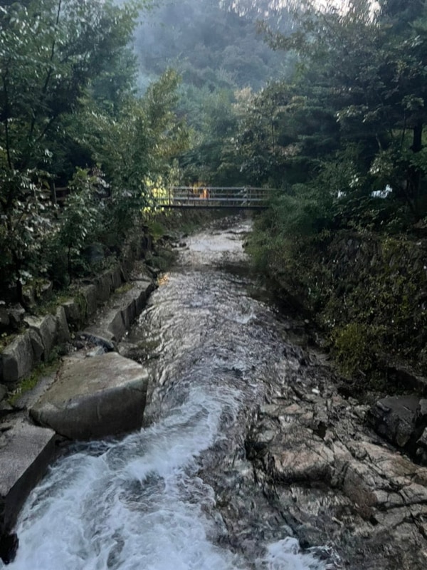 [포천 캠핑] 아버지의 숲 산정캠프 부엉이둥지4번
