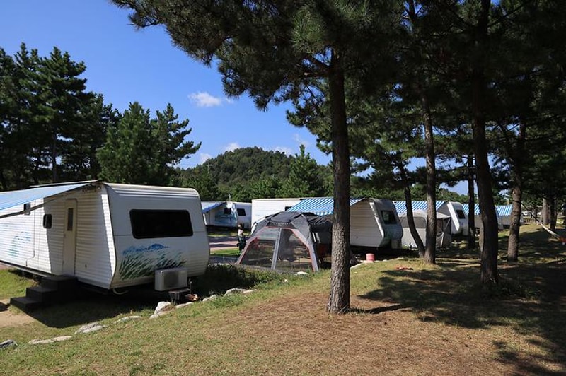 봉수대오토캠핑장 대표 사진