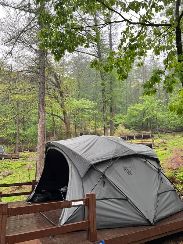 용인자연휴양림 야영장 캠핑 (2025.05.01)