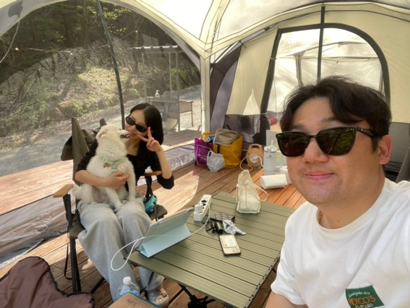 숲뷰 애견동반 캠핑장 홍천 비발디캠핑파크 미루나무점...