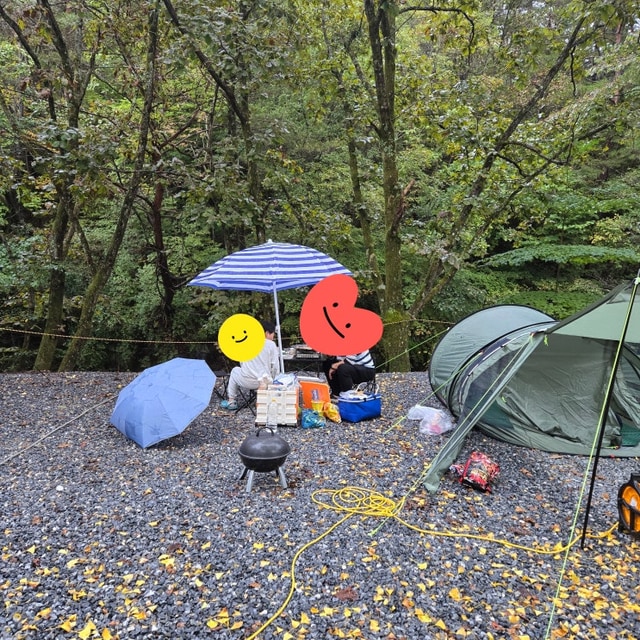 블루밍 캠프 대표 사진