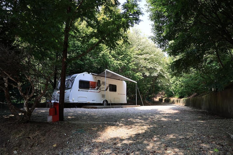 파이브이모션관광농원 시설 사진 3