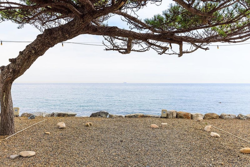 주전패밀리캠핑장 시설 사진 5