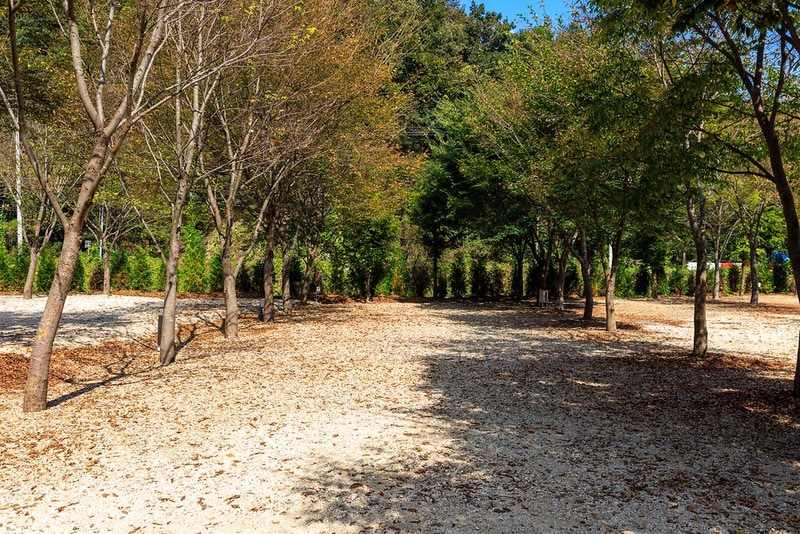 금산 자연 오토캠핑장 시설 사진 12