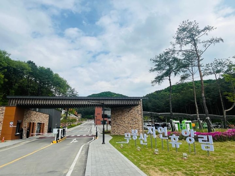 무봉산 자연휴양림 대표 사진