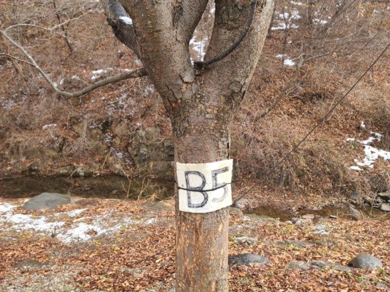 캠소년의 캠핑일지 (9회차) / 안성 반딧불캠핑장